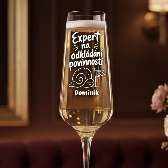 Sklenice Na Šampaňské Pro Mladého Muže Dárek Pro Muže: Expert Na Odkládání Sklenice Na Šampaňské Pro Mladého Muže Dárek Pro Muže: Expert Na Odkládání