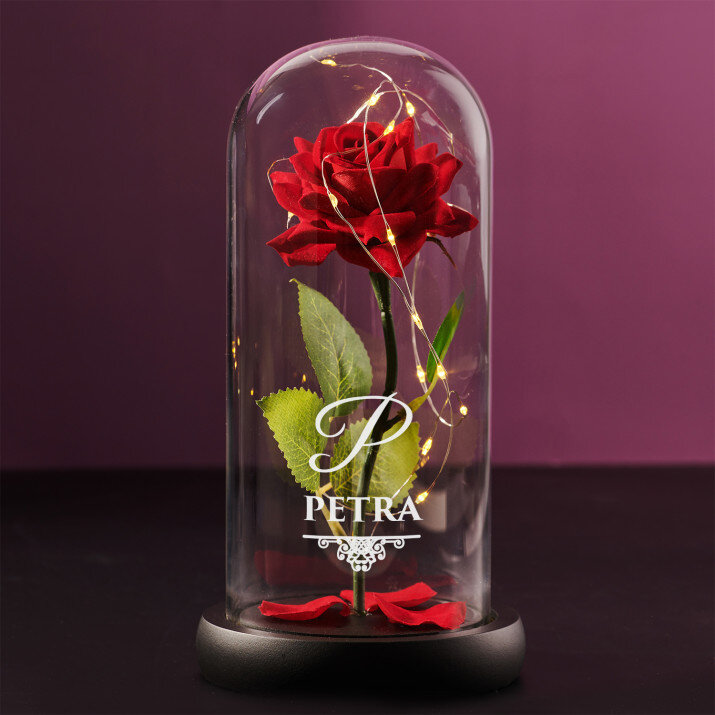 Elegantní - Věčná růže