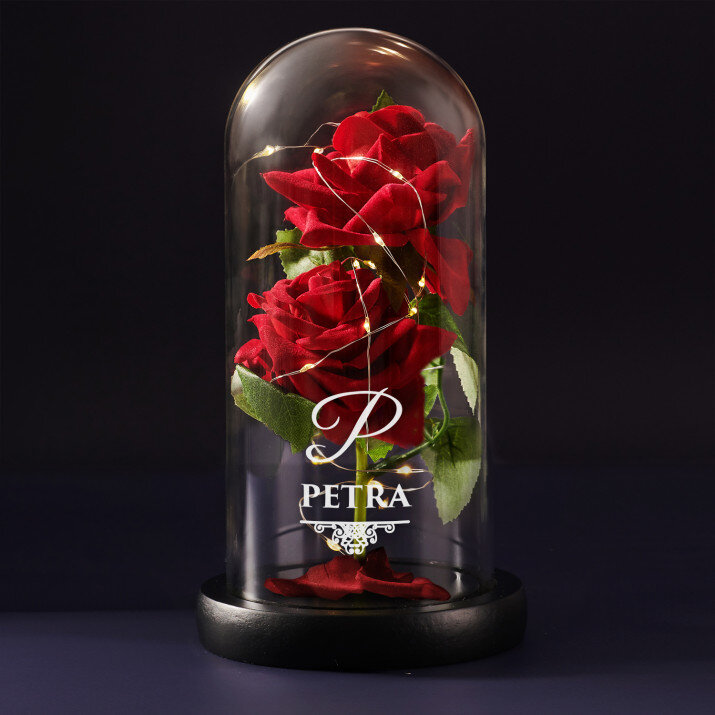 Elegantní - Věčná růže