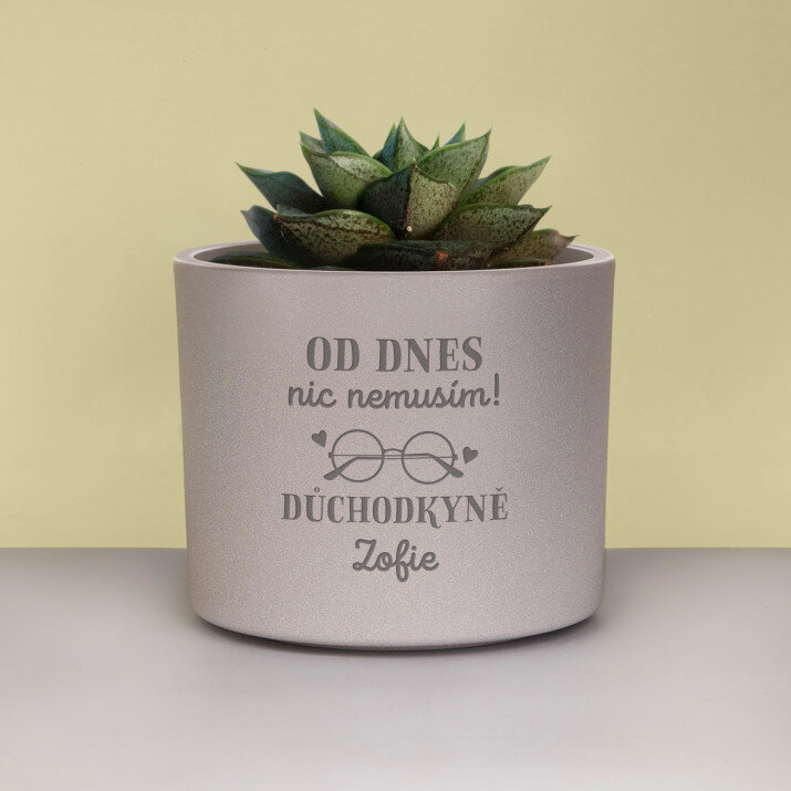 důchodkyně - nic nemusím - obaly na květináče