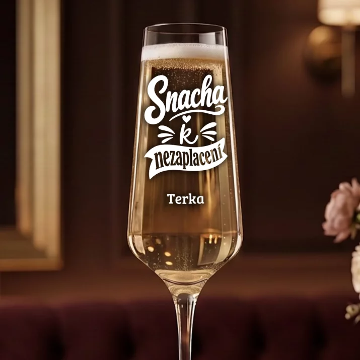 Sklenice Na Šampaňské Pro Snachu Dárek Pro Ženu: Snacha K Nezaplacení Sklenice Na Šampaňské Pro Snachu Dárek Pro Ženu: Snacha K Nezaplacení