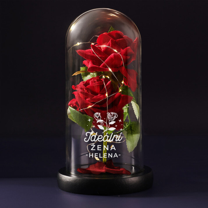 Ideální žena 2 - Věčná růže