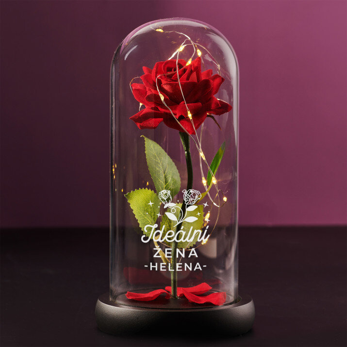 Ideální žena 2 - Věčná růže