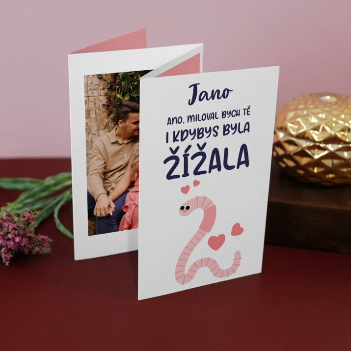 miloval bych tě - Velká harmonika