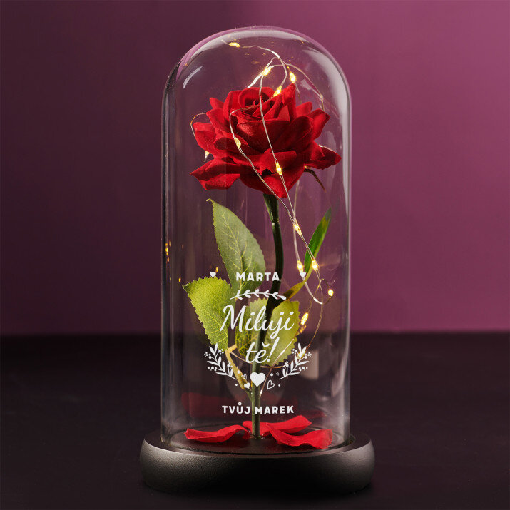 Miluji tě 2 - Věčná růže