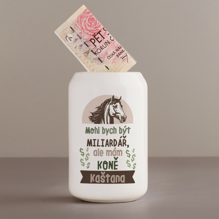 Mohl bych - Pokladnička
