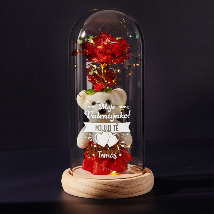 Moje valentýnka - Věčná růže s plyšákem Moje valentýnka - Věčná růže s plyšákem