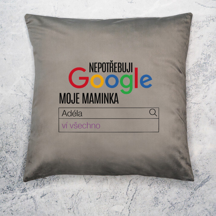 Nepotřebuji Google - Polštář dekorační