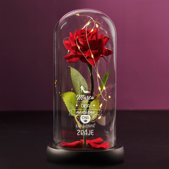 Ona nestárne - Věčná růže