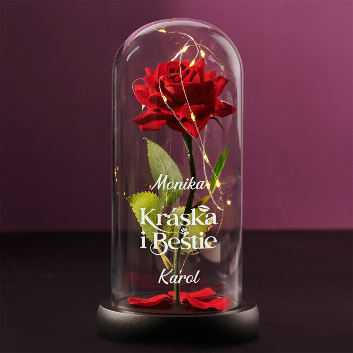 Kráska a zvíře - Věčná růže