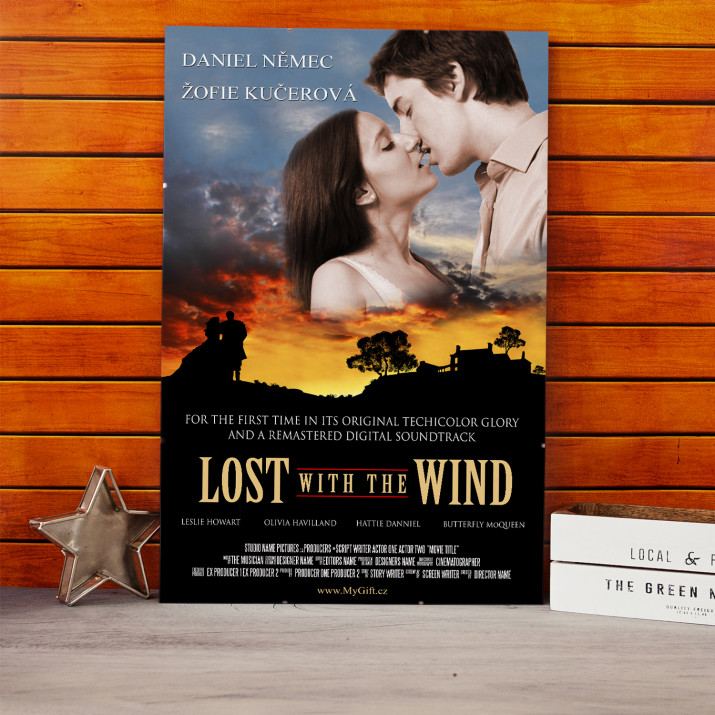 Filmový plakát Lost with the Wind