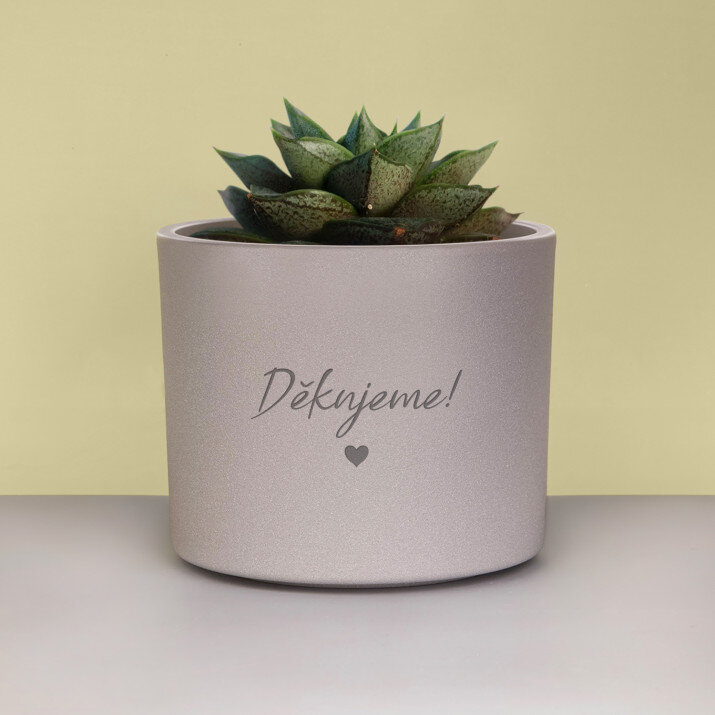 Poděkování - obaly na květináče