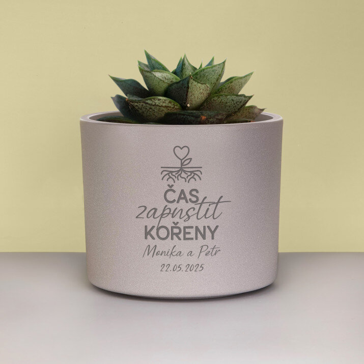 čas zapustit kořeny - obaly na květináče