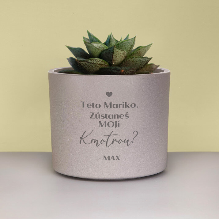 S prosbou o bytí kmotrou - obaly na květináče