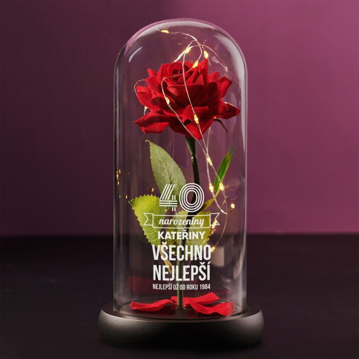 Všechno nejlepší - Věčná růže