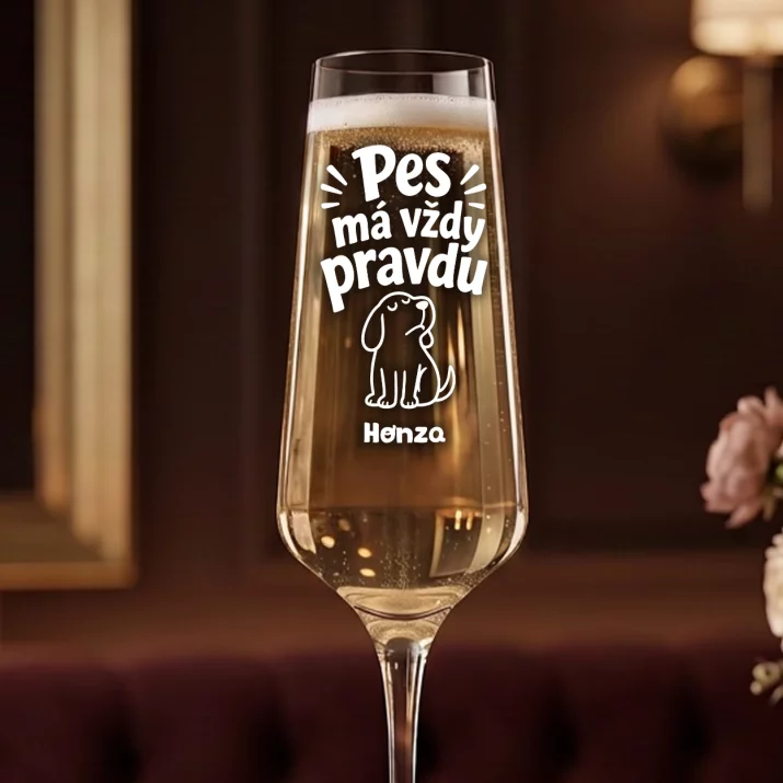 Sklenice Na Šampaňské Pro Pejskaře Dárek Pro Muže: Pes Má Vždy Pravdu