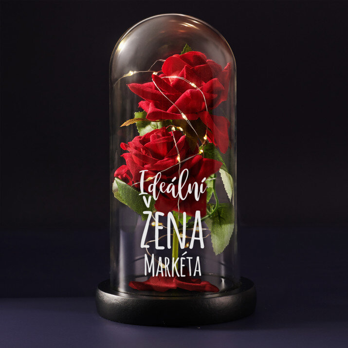 Ideální žena - Věčná růže
