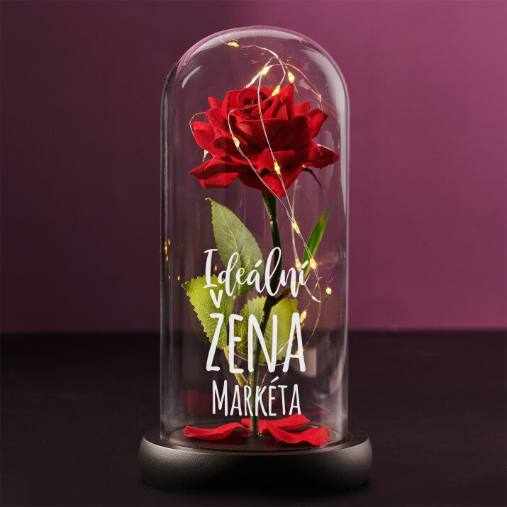 Ideální žena - Věčná růže