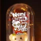 Věčná Růže S Medvídkem K Svátku Dárek Pro Ženu: Není To Věk, Je To Styl