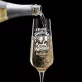 Sklenice Na Šampaňské Ke Kolaudaci Dárek Pro Ženu: Oficiálně Majitelka Všech Sklenice Na Šampaňské Ke Kolaudaci Dárek Pro Ženu: Oficiálně Majitelka Všech