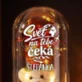 Věčná Růže S Medvídkem Pro Cestovatelku Dárek Pro Ženu: Svět Na Tebe Čeká