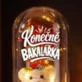 Věčná Růže S Medvídkem K Obhajobě Bakalářské Práce Dárek Pro Ženu: Konečně Bakalářka