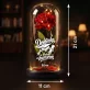 Věčná Růže Pod Skleněnou Kopulí K Obhajobě Doktorátu Dárek Pro Ženu: Doktorka S Titulem A
