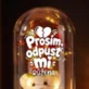 Věčná Růže S Medvídkem Na Usmířenou Dárek Pro Ženu: Prosím, Odpusť Mi