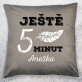 Ještě 5 minut - Polštář dekorační
