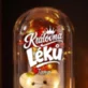 Věčná Růže S Medvídkem Pro Farmaceutku Dárek Pro Ženu: Královna Léků