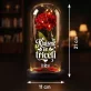 Věčná Růže Pod Skleněnou Kopulí K 30 Narozeninám Dárek Pro 30Letou Ženu : Krásná Ve Třiceti Věčná Růže Pod Skleněnou Kopulí K 30 Narozeninám Dárek Pro 30Letou Ženu : Krásná Ve Třiceti