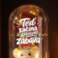 Věčná Růže S Medvídkem K Osmnáctinám Dárek Pro Ženu: Teď Začíná Pravá Zábava