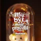 Věčná Růže S Medvídkem Do Nového Bytu Dárek Pro Ženu: Můj Byt, Moje Pravidla