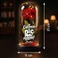 Věčná Růže Pod Skleněnou Kopulí K Vánocům Dárek Pro Ženu: Odbornice Na Nicnedělání Věčná Růže Pod Skleněnou Kopulí K Vánocům Dárek Pro Ženu: Odbornice Na Nicnedělání