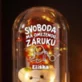 Věčná Růže S Medvídkem Na Rozlučku Se Svobodou Pro Nevěstu Dárek Pro Ženu: Svoboda Má Omezenou