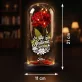 Věčná Růže Pod Skleněnou Kopulí Pro Floristku Dárek Pro Ženu: Královna Květin Věčná Růže Pod Skleněnou Kopulí Pro Floristku Dárek Pro Ženu: Královna Květin