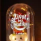 Věčná Růže S Medvídkem K Odchodu Do Důchodu Dárek Pro Důchodce Ženu: Život Bez Budíku