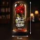 Věčná Růže Pod Skleněnou Kopulí Pro Přítelkyni Dárek Ke Dni Dívek Pro Ženu: Jsi Moje Nejlepší Chyba