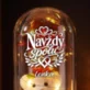 Věčná Růže S Medvídkem K 25 Letům Manželství Dárek Pro Ženu: Navždy Spolu